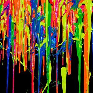 Meet your Posher, Beau